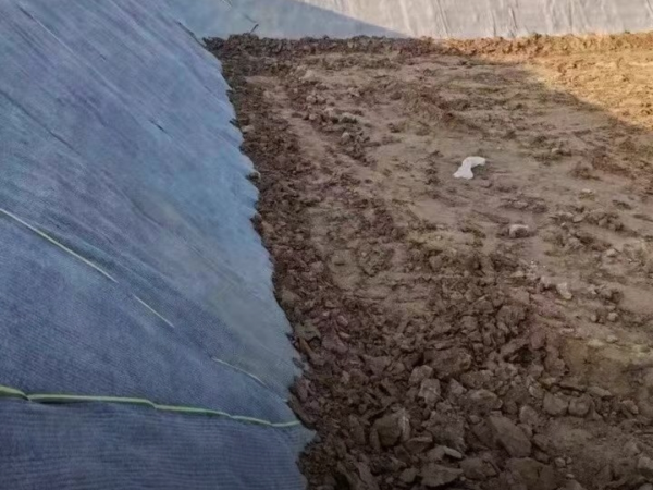 带你了解“水泥毯”用于鱼塘护坡该怎么选规格？